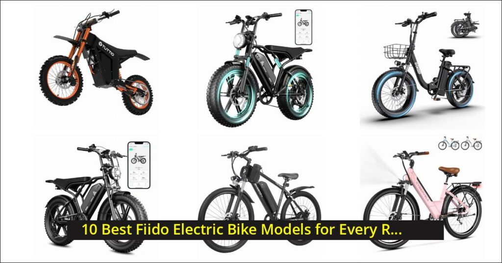 fiido electric bike Image