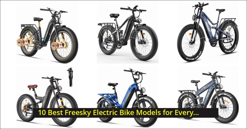 freesky electric bike Image